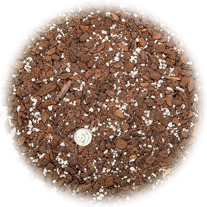 Premium Monstera Borsigiana Potting Mix - Retains Moisture and Promotes Root Growth by Gardenera - 5 Quart