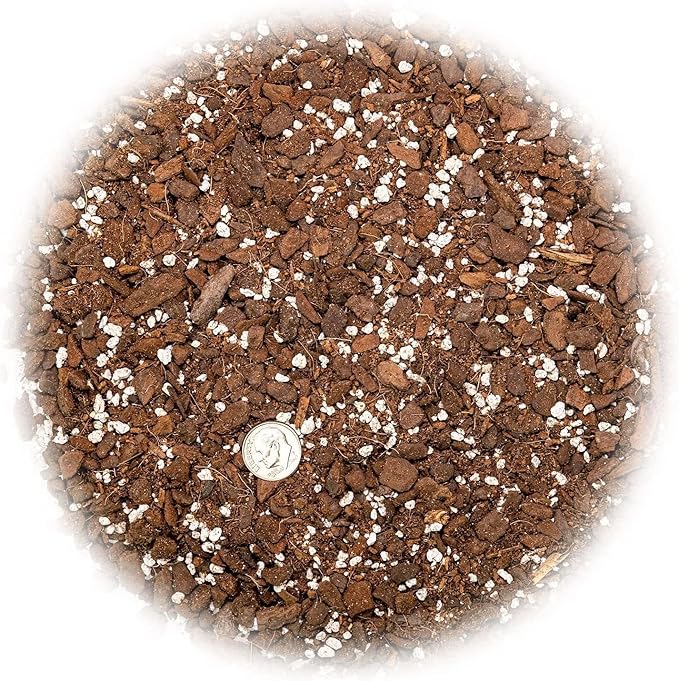 GARDENERA Monstera Borsigiana Soil Mix - Expertly Formulated for Strong Root Development - 2 Quart