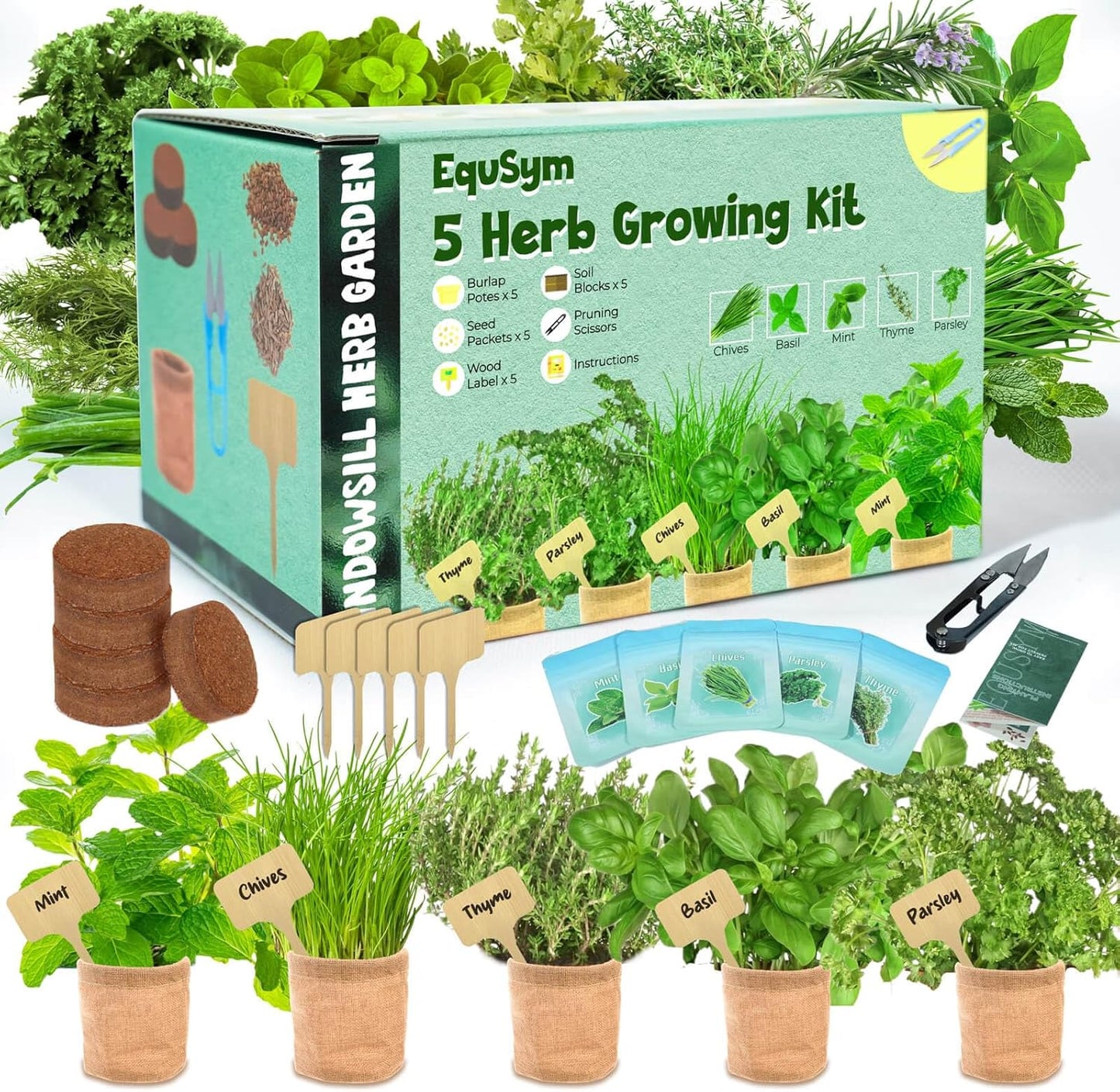 5 Herb Window Garden Kit Indoor - Herb Seeds for Indoor & Outdoor Planting, Gardening Gift for Kids, Moms, Women, Beginners - Complete Starter Kit with Pots, Soil, Basil, Mint, Thyme, Parsley