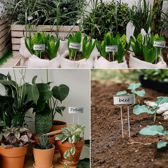 30pcs Plant Labels Plant Markers for Outdoor Plants 6inch Plant Labels for Seedlings Outdoor Garden Waterproof Plant Tags and Labels for Flower Vegetable Herbs Greenhouse (6 in, Silver)