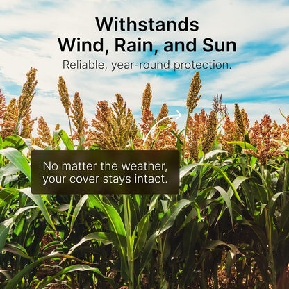 Screening Food Plot Seeds for Deer - Annual Mix - Egyptian Wheat, Sorghum (Grain/Sudangrass) - Spring, Summer & Fall Planting - 3 lbs