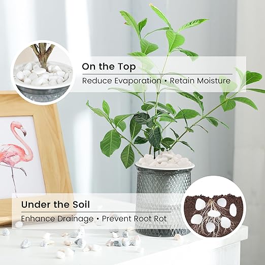 SIDONG 5 LB White River Rocks, 0.3-0.5 Inches Matte Pebbles for Indoor Plants, Aquarium Rocks Used in Fish Tank, Decorative Stones for Plants, Vases, Home Décor, Crafting, Garden Landscaping