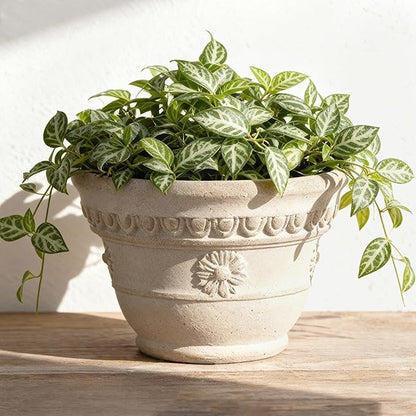 Bamworld 7 Inch Plant Pots for Indoor Outdoor Plants Embossed Flower Pots with Drainage Unglazed Porous Ceramic Planter Pot for Plants Clay Pot for Succulent Room & Office Decor