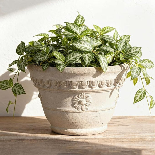 Bamworld 7 Inch Plant Pots for Indoor Outdoor Plants Embossed Flower Pots with Drainage Unglazed Porous Ceramic Planter Pot for Plants Clay Pot for Succulent Room & Office Decor