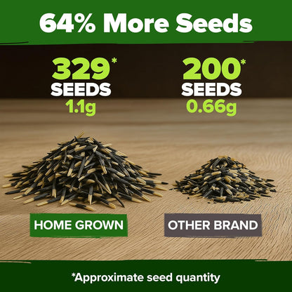 HOME GROWN 𝗨𝗦𝗔 𝗣𝗥𝗘𝗠𝗜𝗨𝗠 Petite French Marigold Seeds 329+ Flower Seeds for Planting Outdoors Easy to Grow Companion Plant & Quick Blooming Pollinator Heirloom Wildflower Seed (Tagetes patula)