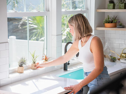 30 Pack Air Plants Assorted Tillandsia Ionantha - Live Succulent House Plants - Available in Wholesale and Bulk - Home and Garden Decor - Easy Care Indoor and Outdoor Plants