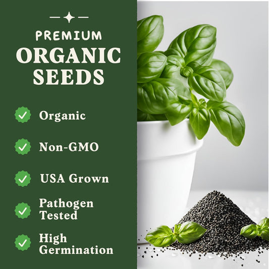 Seedboy 250 Organic Basil Seeds for Planting Indoor and Outdoor, Non-GMO and USDA Certified Herb Seed Packet for Hydroponic Garden Indoor or Planting Outdoors (Genovese Basil)