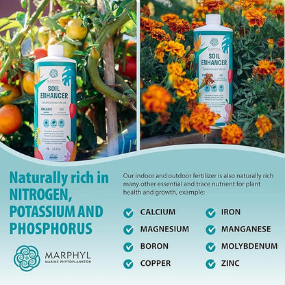 MARPHYL Plant Fertilizer Houseplants and Garden - Marine Phytoplankton Soil Improver and Hydroponic Fertilizer for Grasses, Bamboo, Succulents, & Vegetables - Organic Plant Liquid