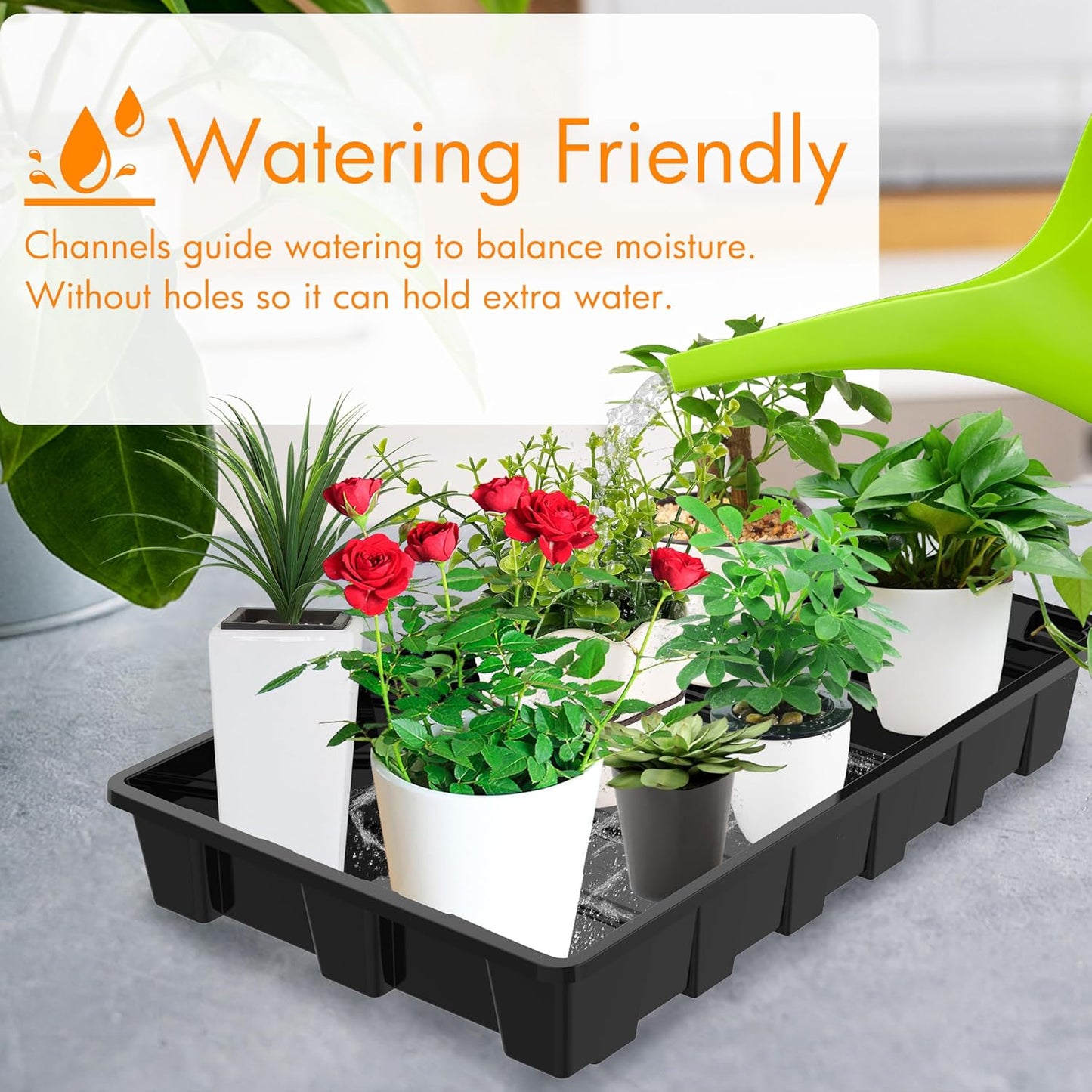 Gardzen 10 Pack Seed Trays, Reusable Plant Grow Trays, Ideal for Seed Starting, Microgreens, Indoor Gardening, and Greenhouse Plant Nurseries - No Drain Holes, 14.5"x9"