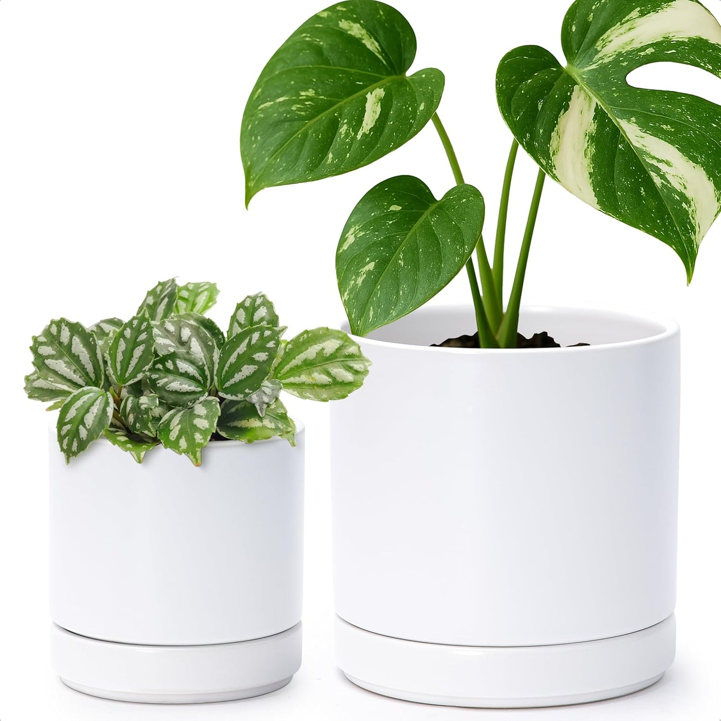 D'vine Dev 4.7 Inch & 6.5 Inch Ceramic Planter Pots for Plants with Drainage Hole and Saucer, Small Plant Pots Set, White, 94-G-S-1