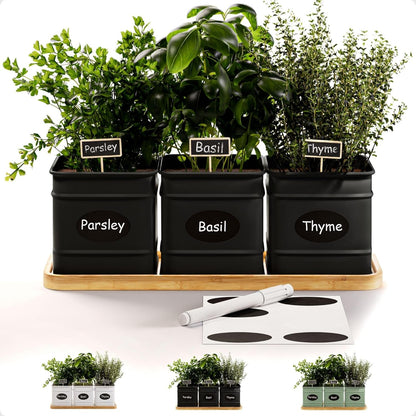 Herb Planter Indoor - 3 Iron Herb Pots with Drainage Holes, Varnished Bamboo Tray, Customizable Labels & Marker Pen - Indoor Herb Garden Planter - 3 Pots for Herbs - Inside Spice Garden - Basil Pot