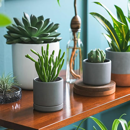 D'vine Dev 3.5 Inch Ceramic Planter Pot with Drainage Hole and Saucer, Indoor Cylinder Round Planter Pot, Speckled Grey, 94-O-A-3