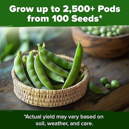 HOME GROWN - Snap Pea Seeds for Planting - Organic, Heirloom Cascadia Variety - 100 Non-GMO Vegetable Seeds - Cool Season Crop for Containers - Sweet Flavor, Fast Germination (Pisum sativum)