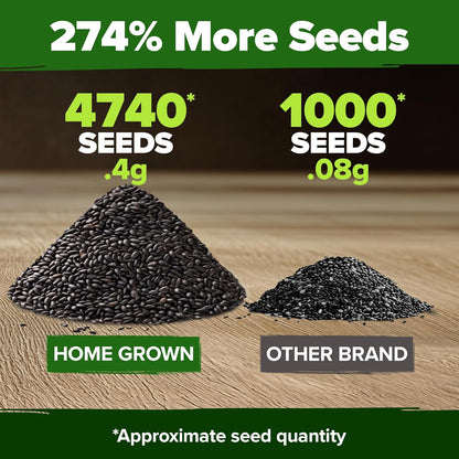 HOME GROWN Peppermint Seeds 2 Pack (Mentha × piperita) – 4,740 Heirloom Mint Seeds for Planting – 𝗡𝗢𝗡-𝗚𝗠𝗢, 𝗨𝗦𝗔-𝗦𝗢𝗨𝗥𝗖𝗘𝗗 – Grow Indoors or Outdoors, Kitchen Herb Garden Favorite