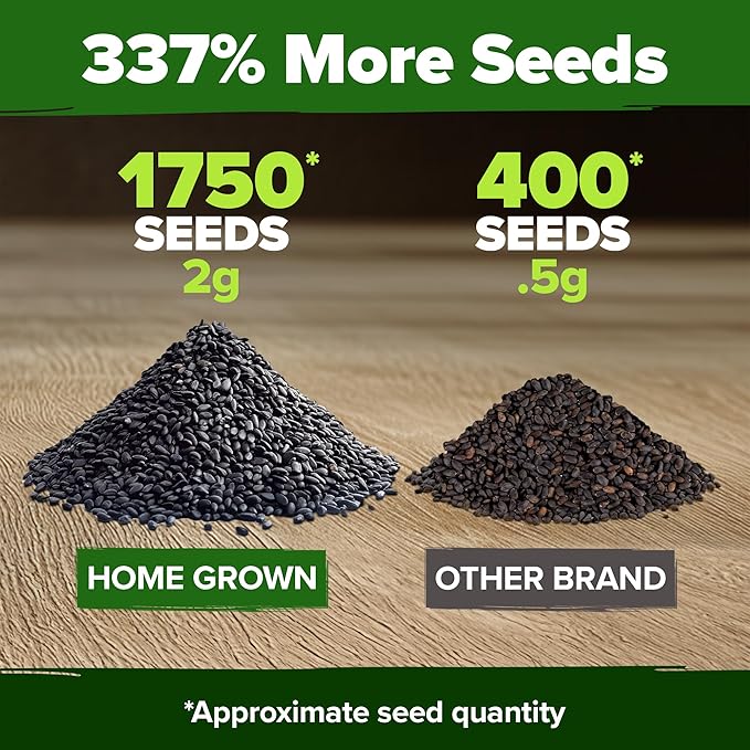 HOME GROWN 𝗨𝗦𝗔 𝗣𝗥𝗘𝗠𝗜𝗨𝗠 Genovese Basil Seeds Pack 1,750+ High Germination 𝗡𝗢𝗡-𝗚𝗠𝗢 Heirloom Seeds (Ocimum basilicum) Herb Seeds for Planting Indoor & Outdoor Gardening, for Culinary Use