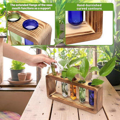 Glass Plant Propagation Station with 5 Test Tubes Colorful Planter Vase Birthday Gifts for Women in Wooden Stand