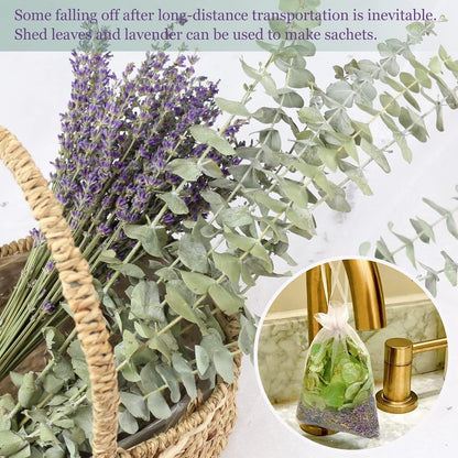 Glicrili 68 PCS Dried Eucalyptus Stems & Lavender Flowers Bundle for Shower,17'' Natural Real Live Eucalyptus Leaves & Aromatic Lavender Shower Plant, Mother's Day, Home Decoration,Fragrance
