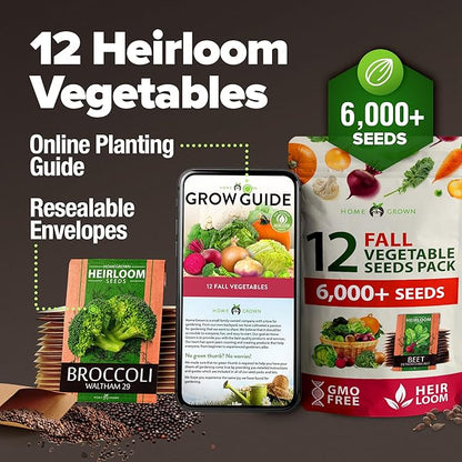 HOME GROWN 12 Fall Vegetable Seeds 6,000+ 𝗨𝗦𝗔 Heirloom 𝗡𝗢𝗡-𝗚𝗠𝗢 Seeds for Fall & Winter Planting – Beets, Broccoli, Cabbage, Kale, Onion, Pumpkin, Turnip, Lettuce, Peas & More for Home Garden