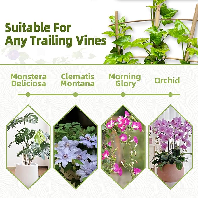 10 Pack 16" Bamboo Trellis for Climbing Plants-Natural Garden Ladder Fan -Shaped Plants Support Trellis for Potted Plant Decor in Door