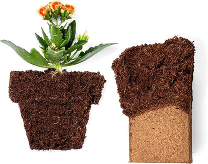 Coco Bliss Coco Coir Bricks (50-Pack, 650gm Bricks) - Organic Coco Coir for Plants - OMRI-Listed Coconut Coir for Plants - Coconut Coir Bricks - Coco Peat for Plants, Garden Soil, & Organic Mulch