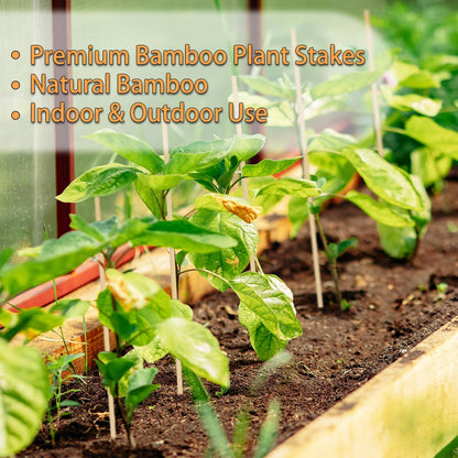 50PCS Bamboo Plant Stakes, 18Inch Natural Bamboo Sticks Garden Stake, HAINANSTRY Plant Support Stakes for Indoor and Outdoor Plants, Stakes for Gardening, Orchid Tomato Vegetable Stakes for Garden