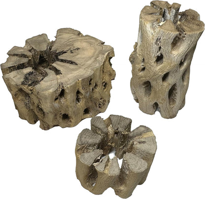 3 Natural Cholla Wood Air Plant Display Holders Tiered 1, 2 & 3 inch Individually Unique Round Decorative Stands