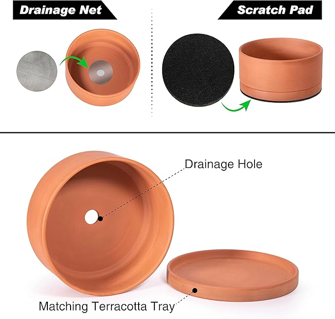 D'vine Dev 8 Inch Succulent Terracotta Shallow Pot with Drainage Hole and Saucer, Round Cylinder Planter Pot for Plant Flower, 40-Y-A-0