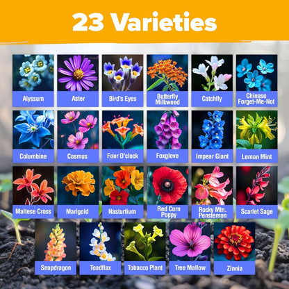 HOME GROWN Premium Wildflower Seeds 89,000+ Count - 23 Non-GMO USA Native Varieties for Bees, Butterflies & Birds - Perennial Wildflower Seed Mix Bulk 2oz - for Full Sun & Shade Gardens