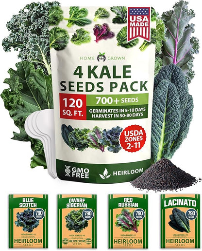 HOME GROWN 𝗨𝗦𝗔 𝗣𝗥𝗘𝗠𝗜𝗨𝗠 Heirloom Vegetable Seeds 𝗡𝗢𝗡-𝗚𝗠𝗢 Vegetable Seeds for Planting Home Garden, Beans, Carrots, Peppers, Cucumber, Kale, Pepper Seeds, Tomato (4 Kale)