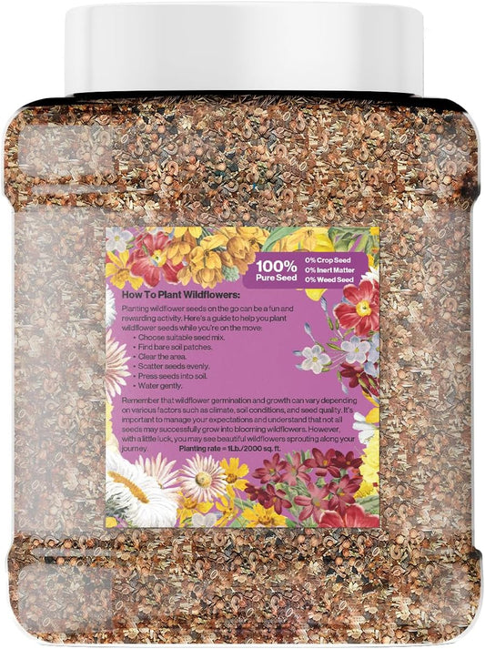 Bulk Wildflower Seed - Bird & Butterfly Garden Seed Mix | Bulk 300,000+ Annual & Perennial Flower Seeds for Planting - Attracts Hummingbirds & Butterfly | No Messy Bags or Packets | Bulk 1 Pound Jar