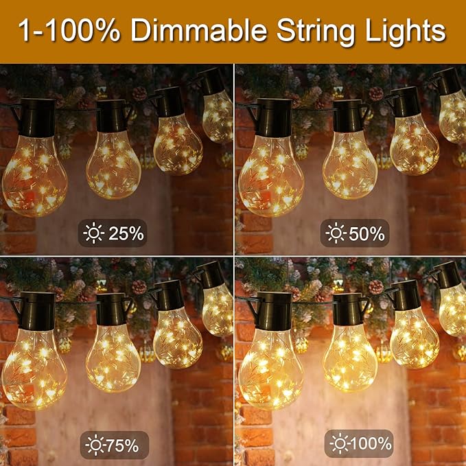 14ft Battery Operated 20 Hanging Bulb 100 LED String Lights, Vintage Commercial Battery Outdoor Lights for Indoor Outdoor Decorations Home, Bedroom, Patio, Balcony, Christmas Party (8 Modes)