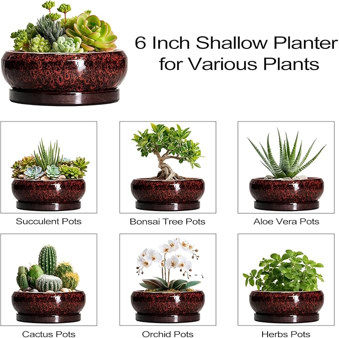 Succulent Planters 6 Inch - Ceramic Bonsai Pots with Drainage Hole and Saucer, Small Bonsai Planter, Round Planter Bowl, Shallow Plant Pots Indoor, Room Decor, Gifts for Plant Lovers, Red