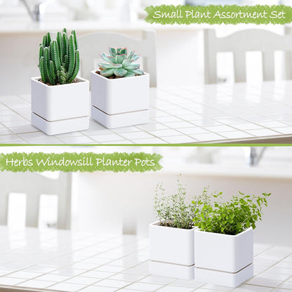 4 Inch Herb Planter Pot, Plastic Planter with Drainage Holes and Saucer, Modern Decorative Gardening Pot for Indoor Plants, Flowers, Herbs, Succulents, White, Set of 2, 76-Y-A-2