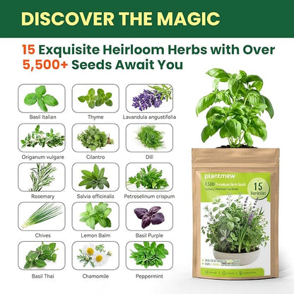 Herb Seeds 15-Pack – 4,500+ Non-GMO Heirloom Seeds for Planting – Indoor & Outdoor Herb Garden Kit with Basil, Cilantro, Rosemary, Thyme, Dill, Sage – Medicinal & Culinary Herb Seeds Variety Pack