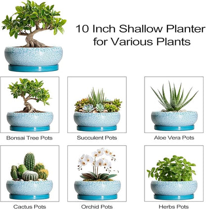 Bonsai Pots 10 Inch - Shallow Ceramic Planters for Indoor Outdoor, Succulent Pots with Drainage Hole and Saucer, Round Planter Bowl, Succulent Planter, Garden Decor, Housewarming Gifts, Blue
