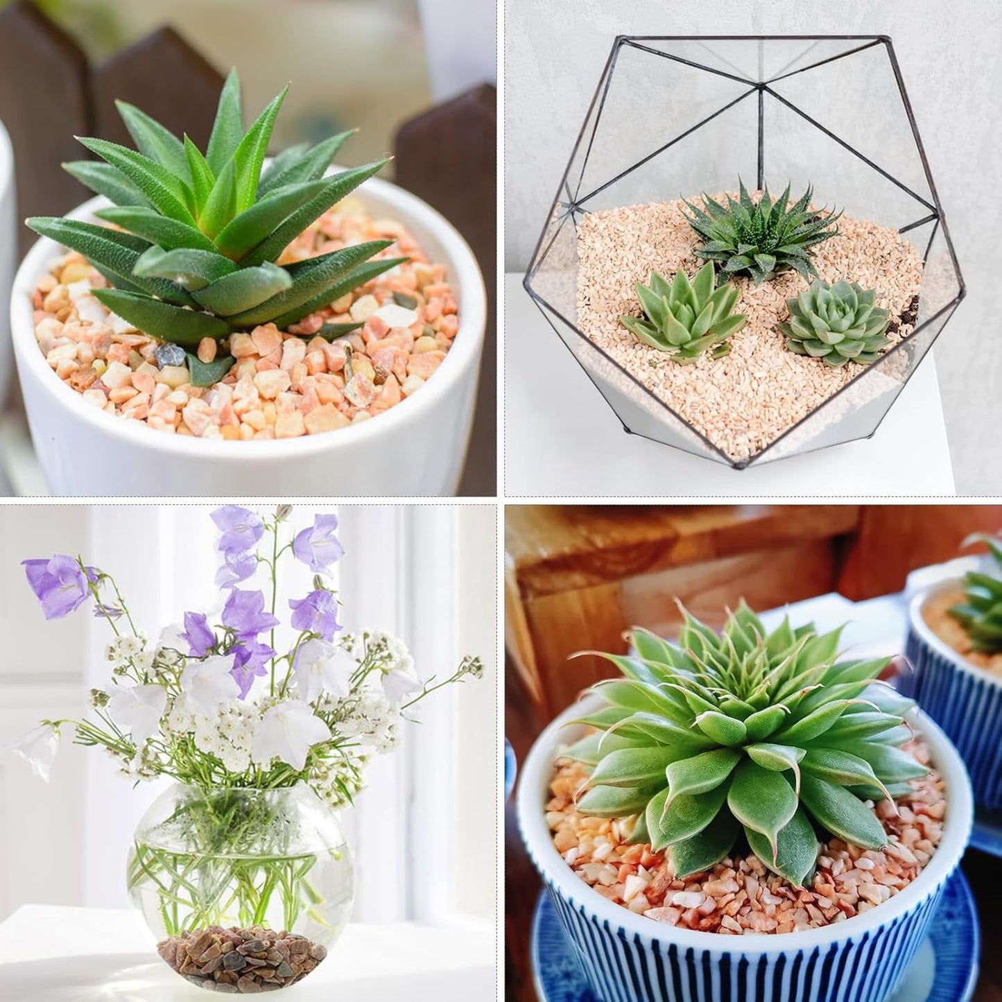 20lbs Peach Pebbles for Plants, 3/8inch Small Rocks for Succulent Cactus Plants, Natural Polished Pebbles, River Rocks for Plants, Vases, Garden