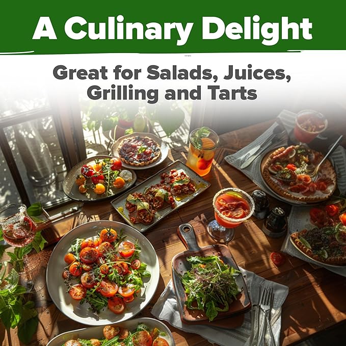 HOME GROWN Large Red Cherry Tomato Seeds Pack– 500 High Germination Heirloom Seeds – 𝗡𝗢𝗡-𝗚𝗠𝗢 𝗨𝗦𝗔 Vegetable Seeds for Garden,Homestead & Self-Sufficient Growing(Solanum lycopersicum)