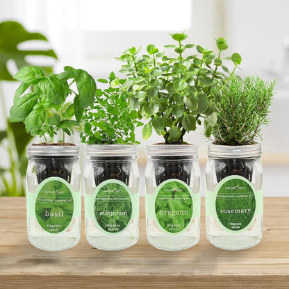 Hydroponic Mason Jar Indoor Garden Organic Seed Starter Kits - Italian Herb Blend Growing Kits, Windowsill Herb Garden, Gardening Gift (Basil, Marjoram, Oregano, Rosemary)