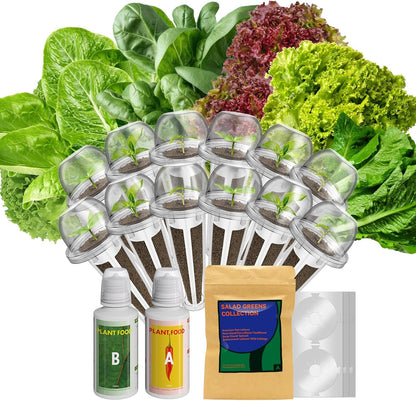 inbloom 12-Pod Salad Greens Seed Pod Kit for AeroGarden, Ahopegarden, Hydroponic Garden with Spinach, Buttercrunch, Paris & American Lettuce, Swiss Chard, Wild Cabbage