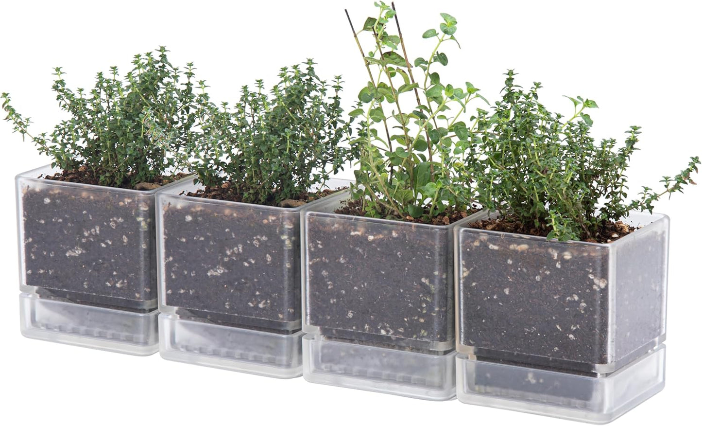 4 Inch Herb Planter Pot, Plastic Planter with Drainage Holes and Saucer, Modern Decorative Gardening Pot for Indoor Plants, Flowers, Herbs, Succulents, Clear, Set of 4, 76-Y-D-4