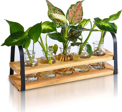 Plant Propagation Station with Wood Stand, Desktop Terrarium for Hydroponic, Flower Vase for Home, Kitchen, Office Decor, Plant Lover Gifts