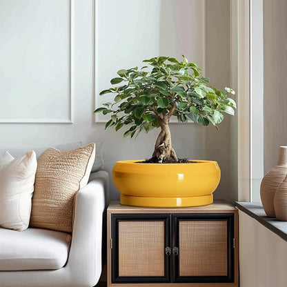 Ceramic Bonsai Pots - 13 Inch Large Succulent Pots with Drainage Hole and Saucer, Bonsai Planter for Indoor Outdoor, Round Shallow Bowl Planter, Garden House Decor, Plant Lover Gifts, Yellow