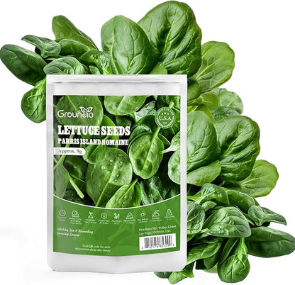 Bloomsdale Spinach Seeds, Approx 353 Seeds Heirloom Non-GMO, USA Supplier Seeds for Planting, Fast Growing for Gardens, Indoors or Outdoors