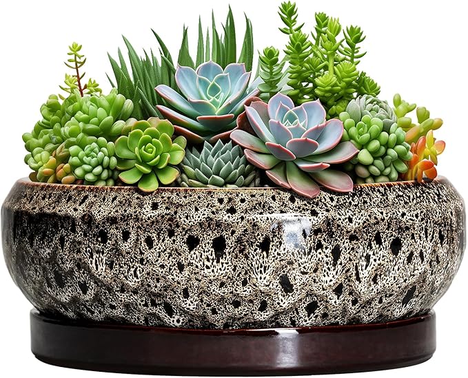 Succulent Pots 10 Inch - Ceramic Bonsai Pots with Drainage Hole and Tray, Large Succulent Planters, Shallow Planter Indoor, Round Planter Bowl, Window Decor, Gifts for Plant Lovers, White