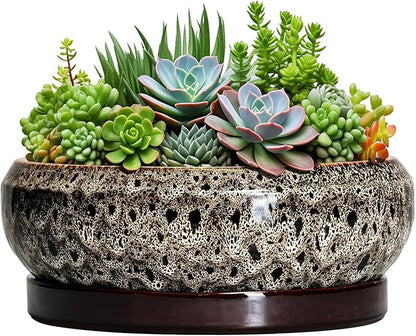 Succulent Pots 10 Inch - Ceramic Bonsai Pots with Drainage Hole and Tray, Large Succulent Planters, Shallow Planter Indoor, Round Planter Bowl, Window Decor, Gifts for Plant Lovers, White