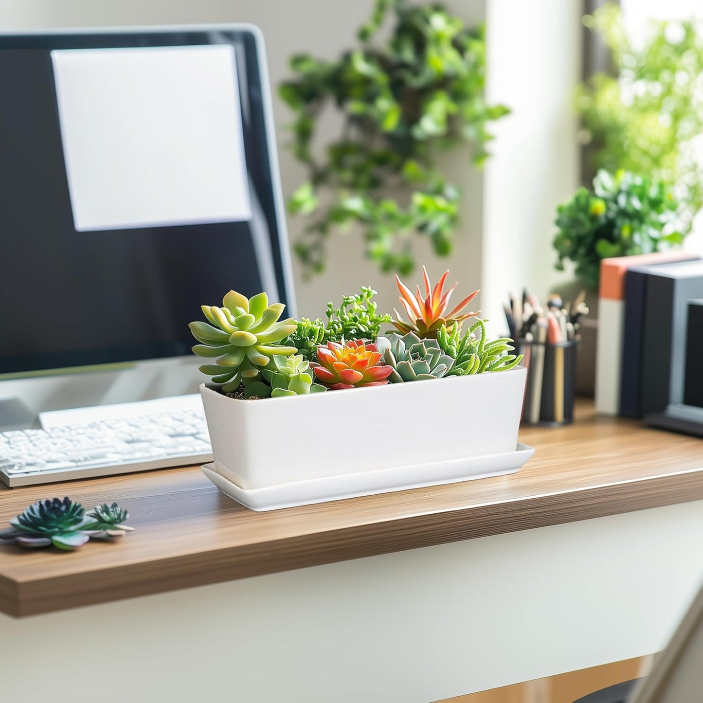 SQOWL Rectangular Planter - 10 Inch Ceramic Pots for Plants with Drainage Hole and Saucer, Succulent Pots for Indoor Outdoor, Cactus Herb Flower Planter, Home Decor, Gifts for Plant Lovers, White