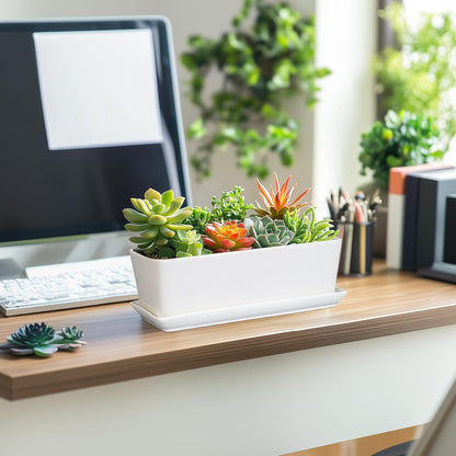 SQOWL Rectangular Planter - 10 Inch Ceramic Pots for Plants with Drainage Hole and Saucer, Succulent Pots for Indoor Outdoor, Cactus Herb Flower Planter, Home Decor, Gifts for Plant Lovers, White