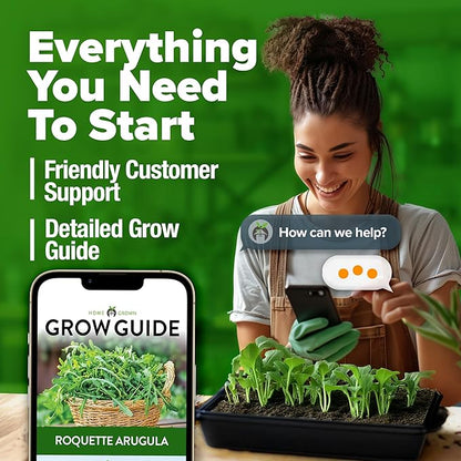 HOME GROWN 𝗨𝗦𝗔 𝗣𝗥𝗘𝗠𝗜𝗨𝗠 Arugula Roquette Seeds Pack 2,175 𝗡𝗢𝗡-𝗚𝗠𝗢 Heirloom Arugula Seeds for Planting Best for Outdoor Gardens,Providing Fast-Growing Greens for Salads - Eruca vesicaria