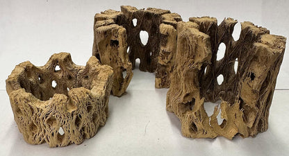 3 Natural Cholla Wood Air Plant Display Holders Individually Unique Round Decorative Stands (3 Pack Cholla Rounds)