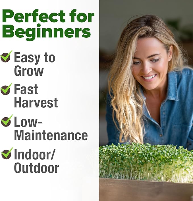 HOME GROWN Broccoli Seeds 8 oz - for Sprouting or Microgreens 𝗡𝗢𝗡-𝗚𝗠𝗢 𝗨𝗦𝗔-𝗦𝗢𝗨𝗥𝗖𝗘𝗗 High Germination Sprout Seeds Nutritious Micro Greens - Broccoli Sprouts in 5 days - Sulforaphane Rich